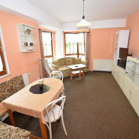 Snug Apartment In Jachymov Near Ski Area エクステリア 写真